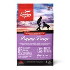 ORIJEN Puppy Large Breed 11,4kg - Büyük Irk Yavru Köpek Maması